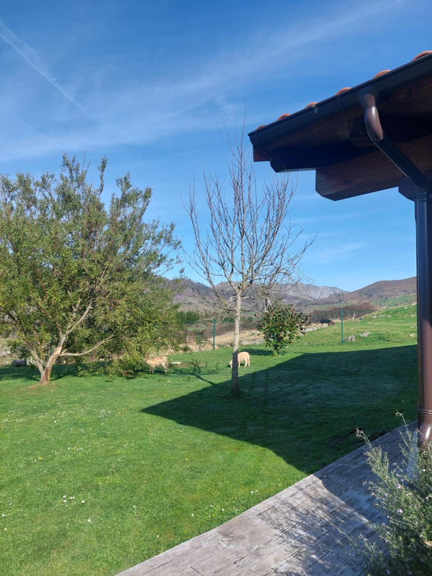 Fuente El Gueeyu Apartment Cangas de Onis Exterior photo